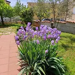 Erenda * Fuškulin