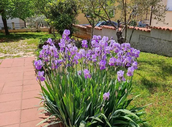 Erenda * Fuškulin