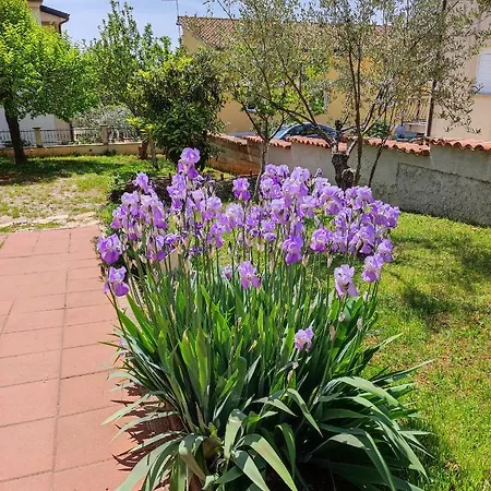 Erenda * Fuškulin
